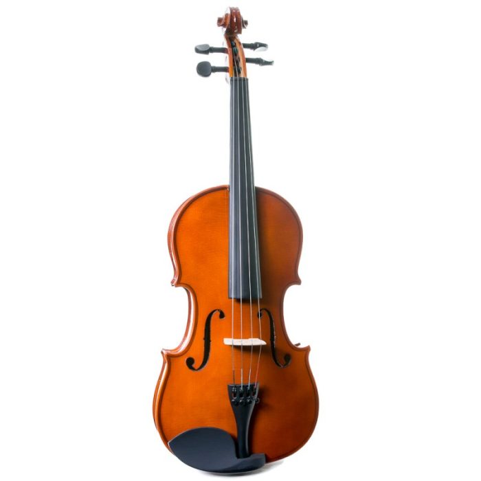 Viola Primo - Imagen 2