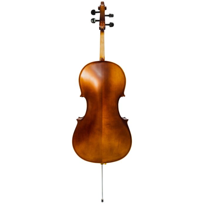 Violoncello Gaudieri HD-C11 - Imagen 3