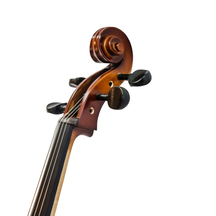 Violoncello Gaudieri HD-C11 - Imagen 4