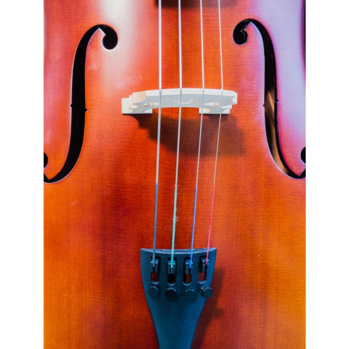 Violoncello Gaudieri HD-C11 - Imagen 5