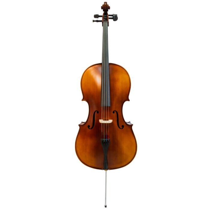 Violoncello Gaudieri HD-C11
